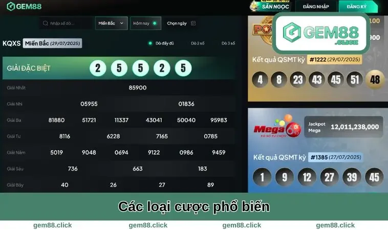 Các loại cược phổ biến 