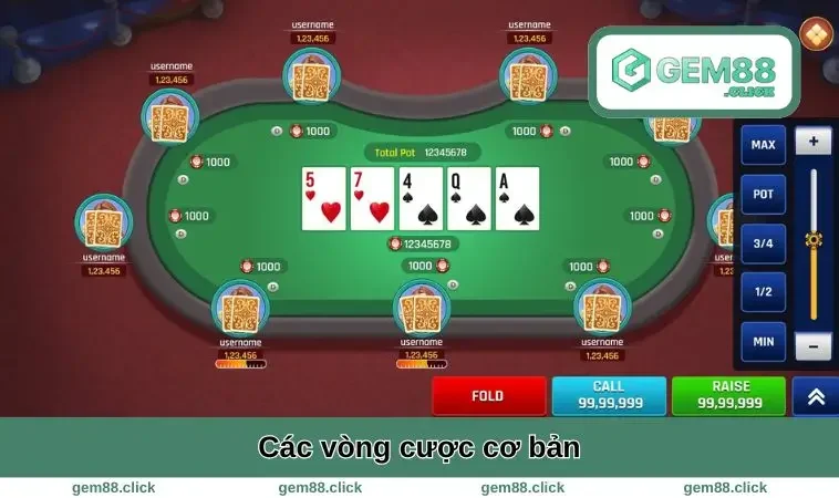 Các vòng cược cơ bản