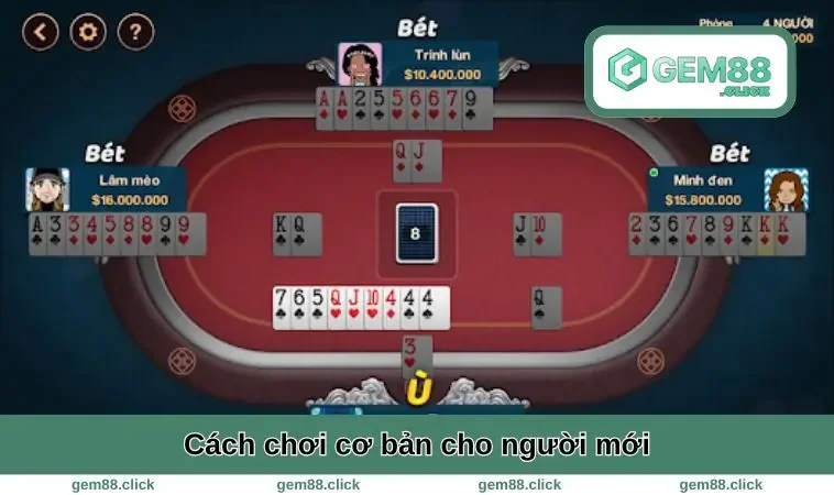 Cách chơi cơ bản cho người mới