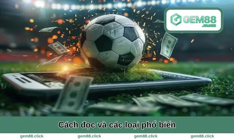 Cách đọc và các loại phổ biến