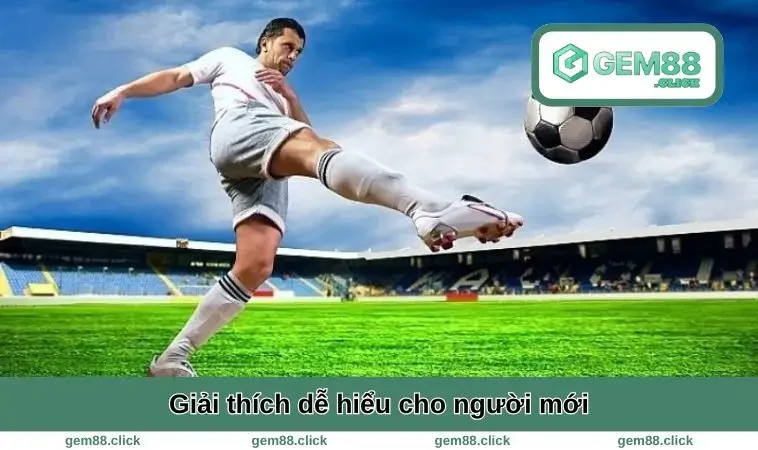 Giải thích dễ hiểu chi tiết
