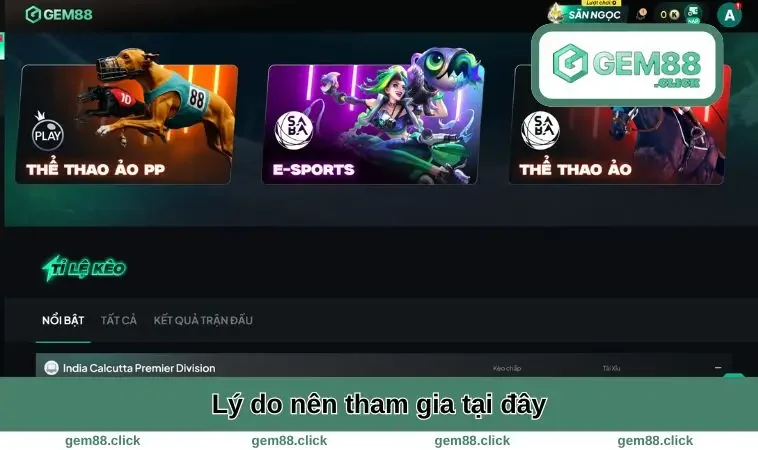 Lý do nên tham gia tại đây